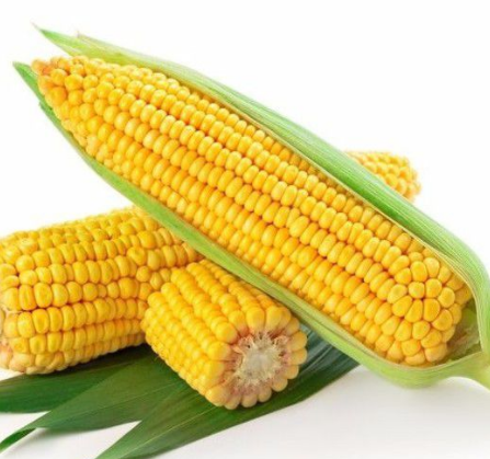 玉米振動篩如何選擇？